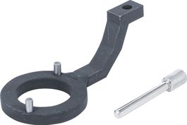 Hochdruckpumpen Werkzeug Jaguar, Land Rover (OEM 310-212)