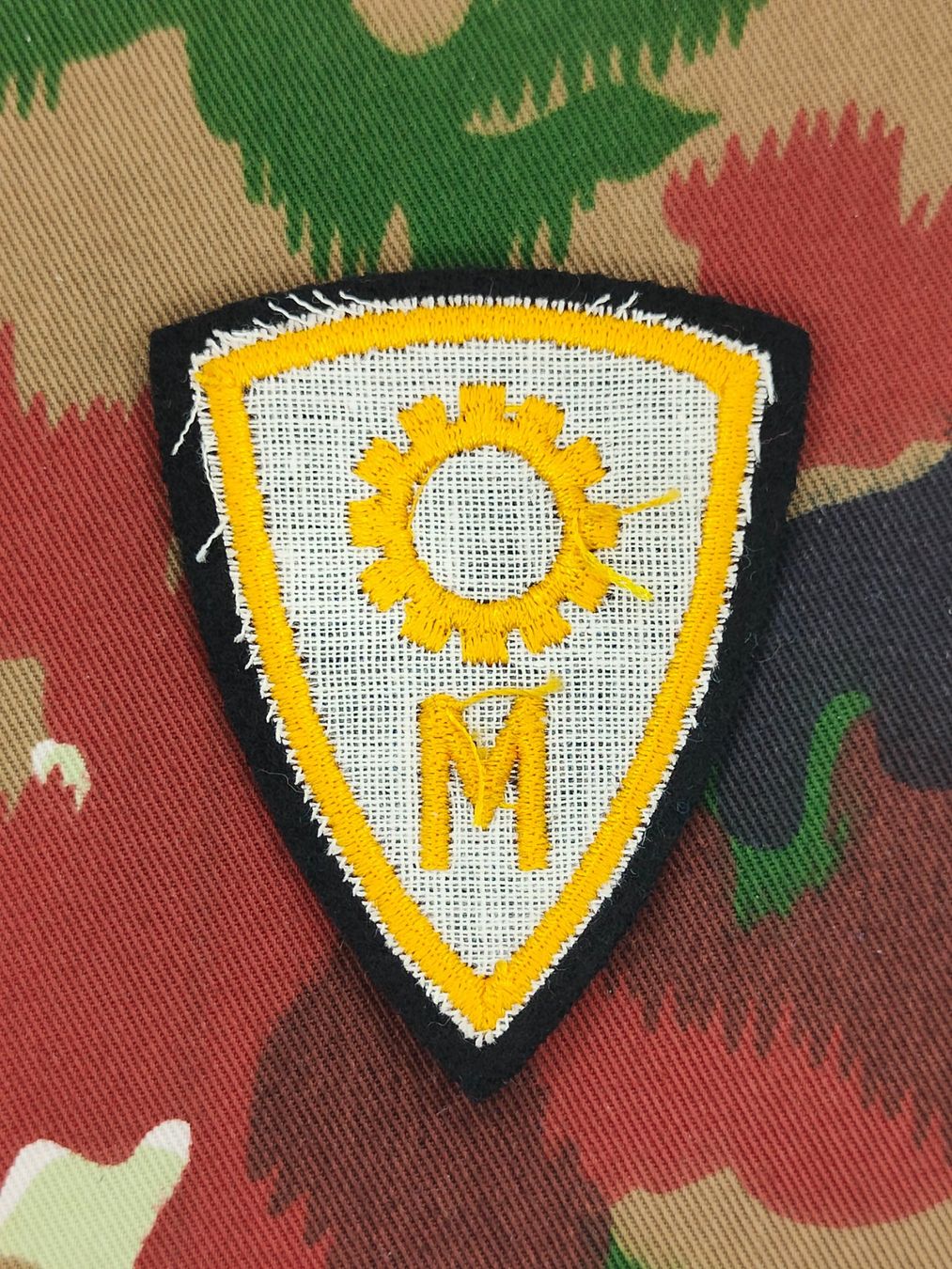 Schweizer Armee Placchette & Badge: Funktionsabzeichen Lagerist Ord. 1995 – Usato da Bauma venduto da SwissMilitaria 1