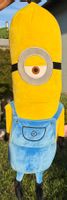 Grosse Minions (Cm 90)