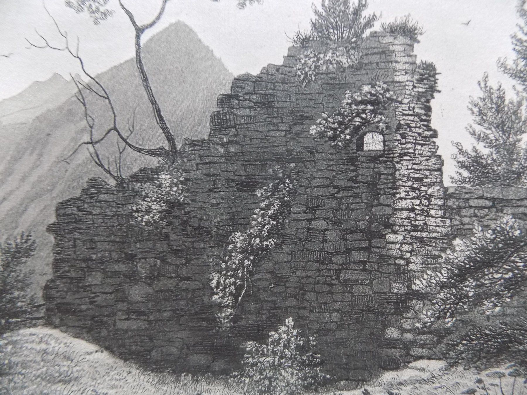 Incisioni: Ruine Rotzberg Ennetmoos – Usato da Risch venduto da Rischli15 9