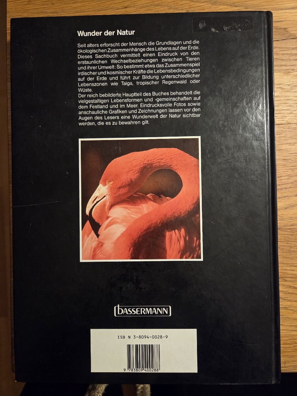 Libri: Faszinierende Tierwelt – Usato da Rafz venduto da leoncupra 1
