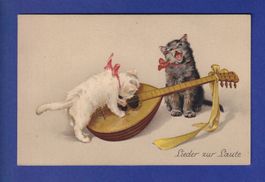 CHAT - Chatons et mandoline