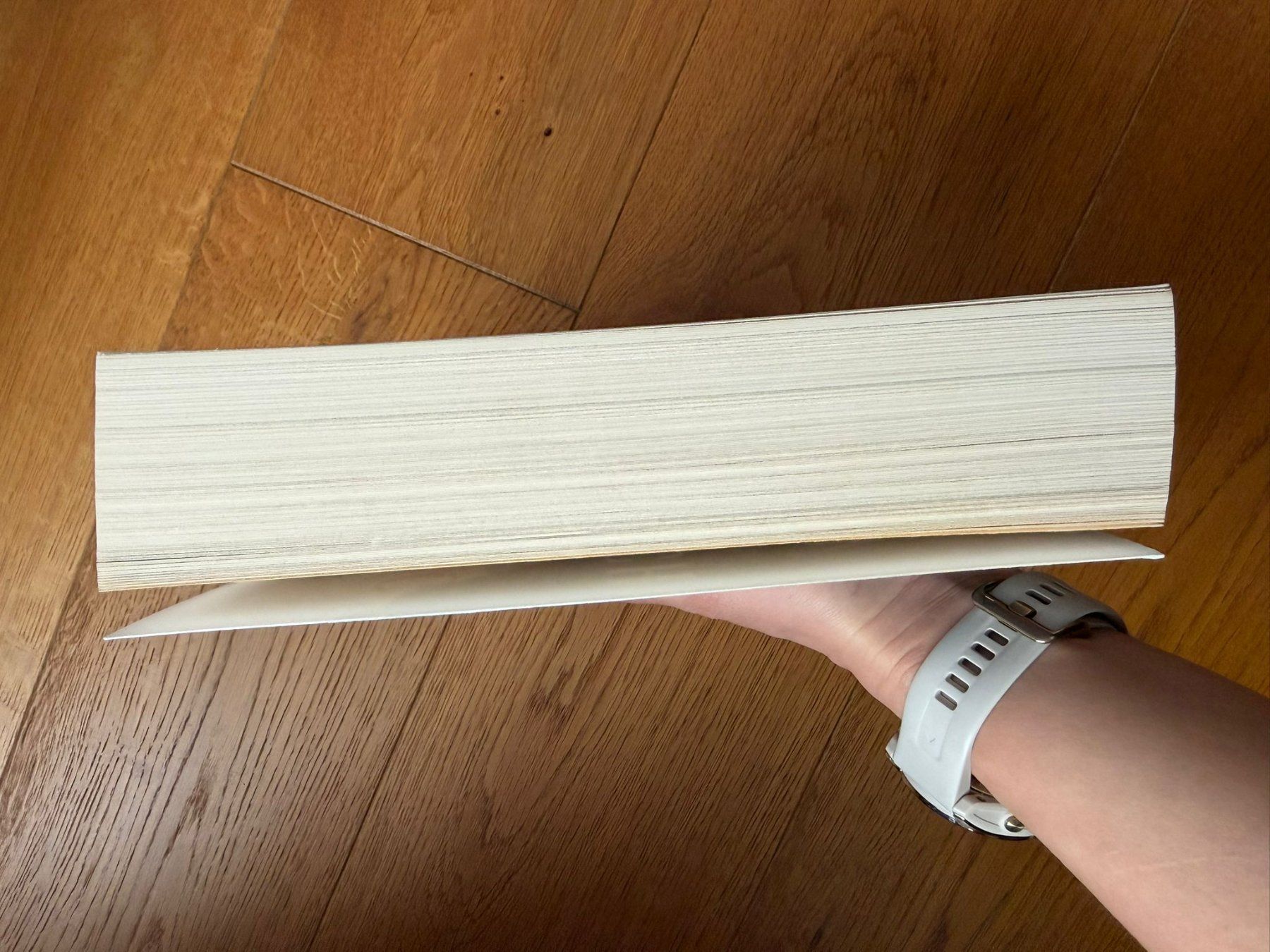 Libri: Buch Bergleuchten – Usato da Altdorf UR venduto da Monstera99 2