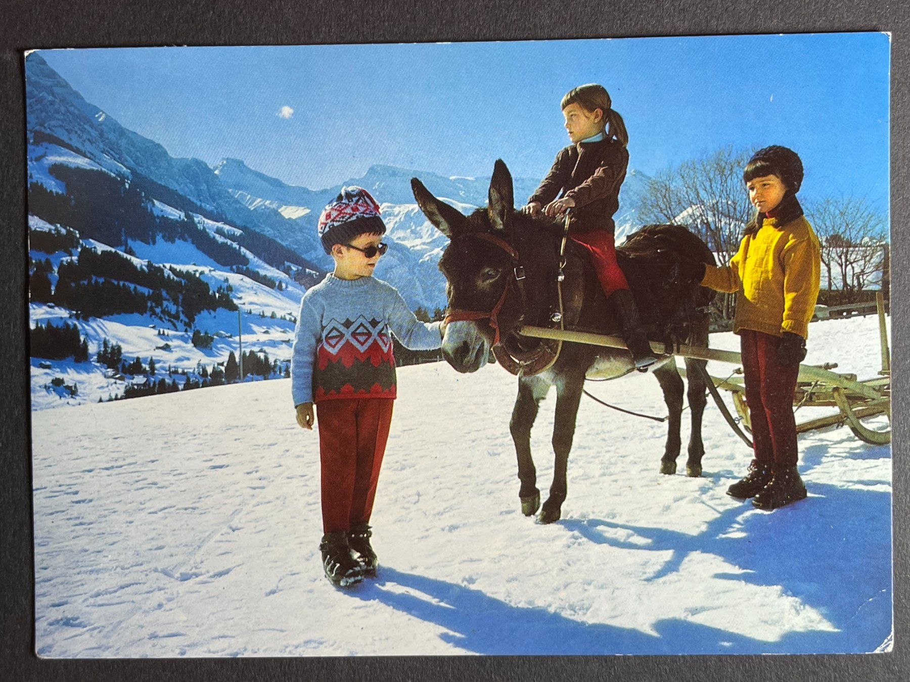 Ansichtskarten: Adelboden, Skischule mit Eselin – Gebraucht aus Steg VS von danwer74