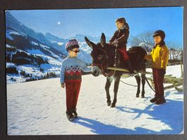 Adelboden, Skischule mit Eselin