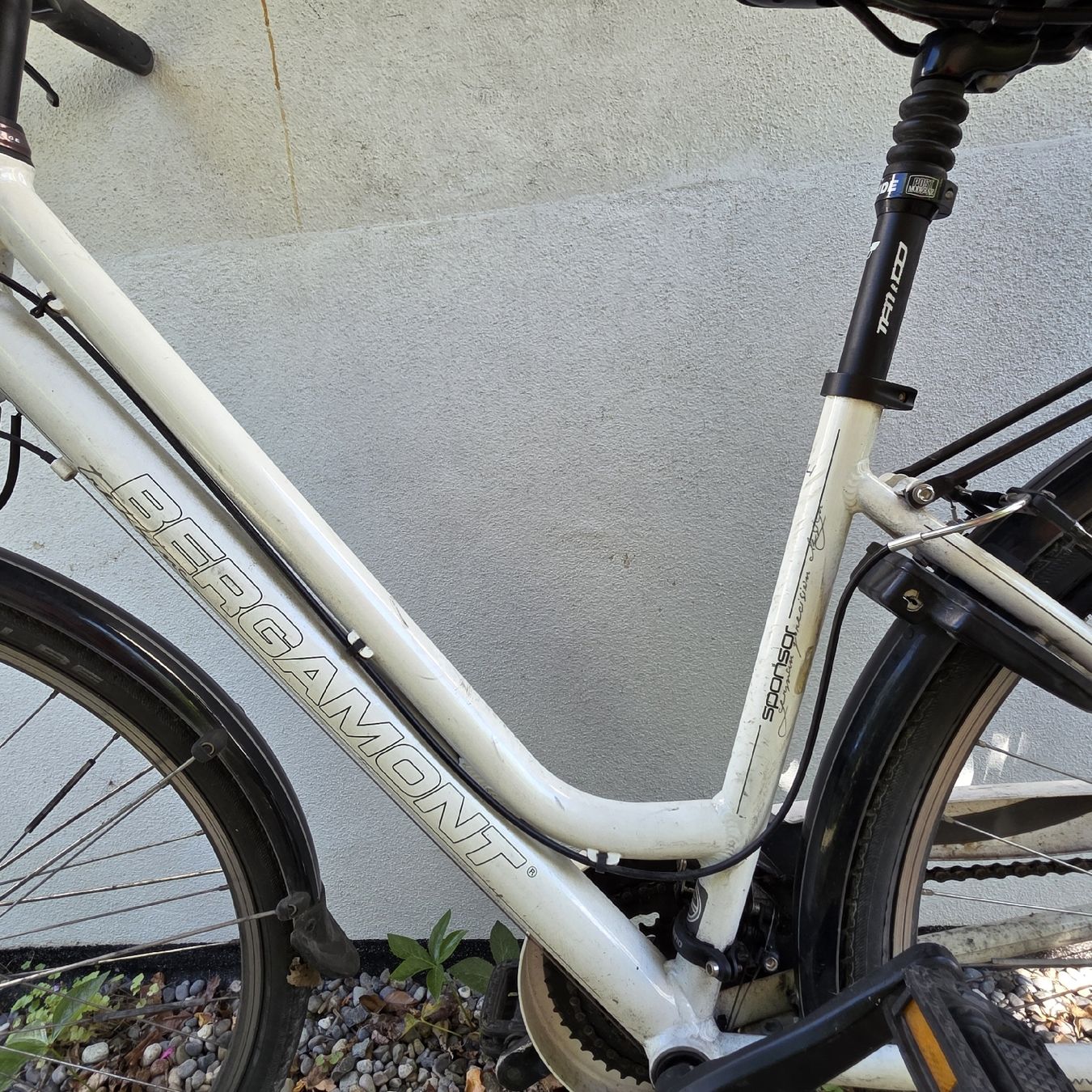Bergamont Biciclette: Bergamont Damenfahrrad – Usato da Rapperswil SG venduto da BettinaE 1
