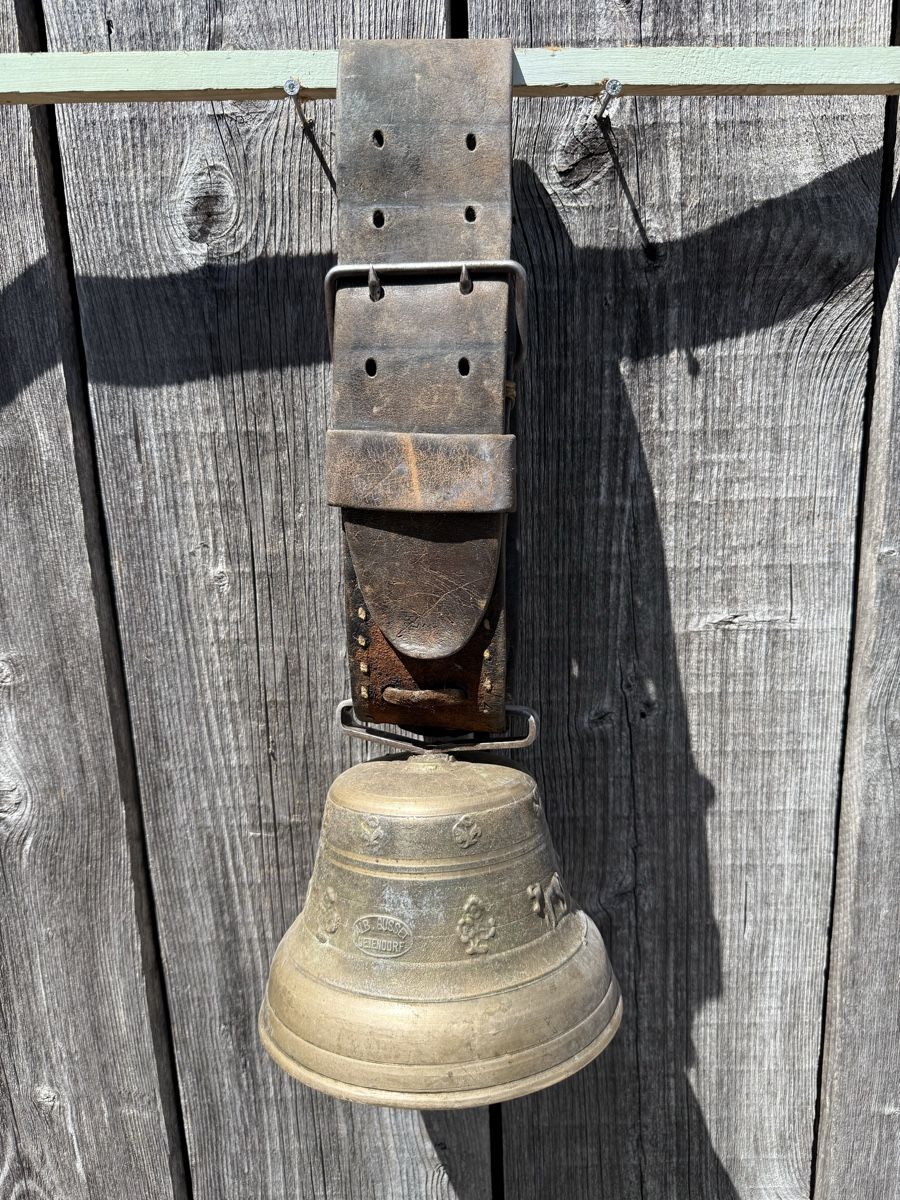 Glocken & Treicheln: Schöne Glocke, Alb. Gusset Uetendorf – Gebraucht aus Sargans von foxtrading