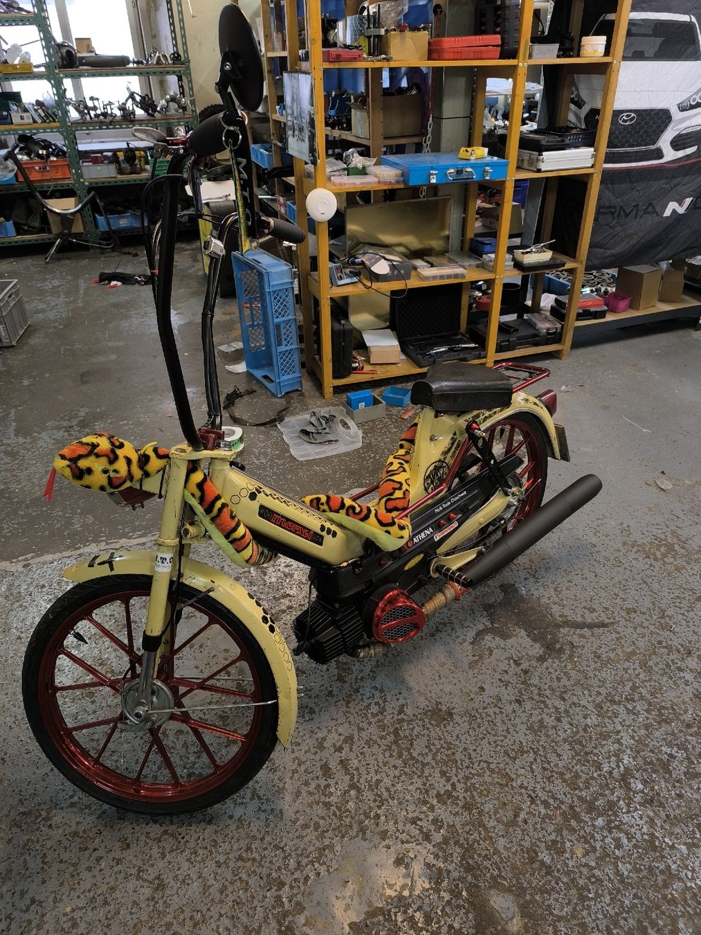 Puch Mofas: Puch Maxi S Custom – Gebraucht aus Münchwilen TG von Denso33