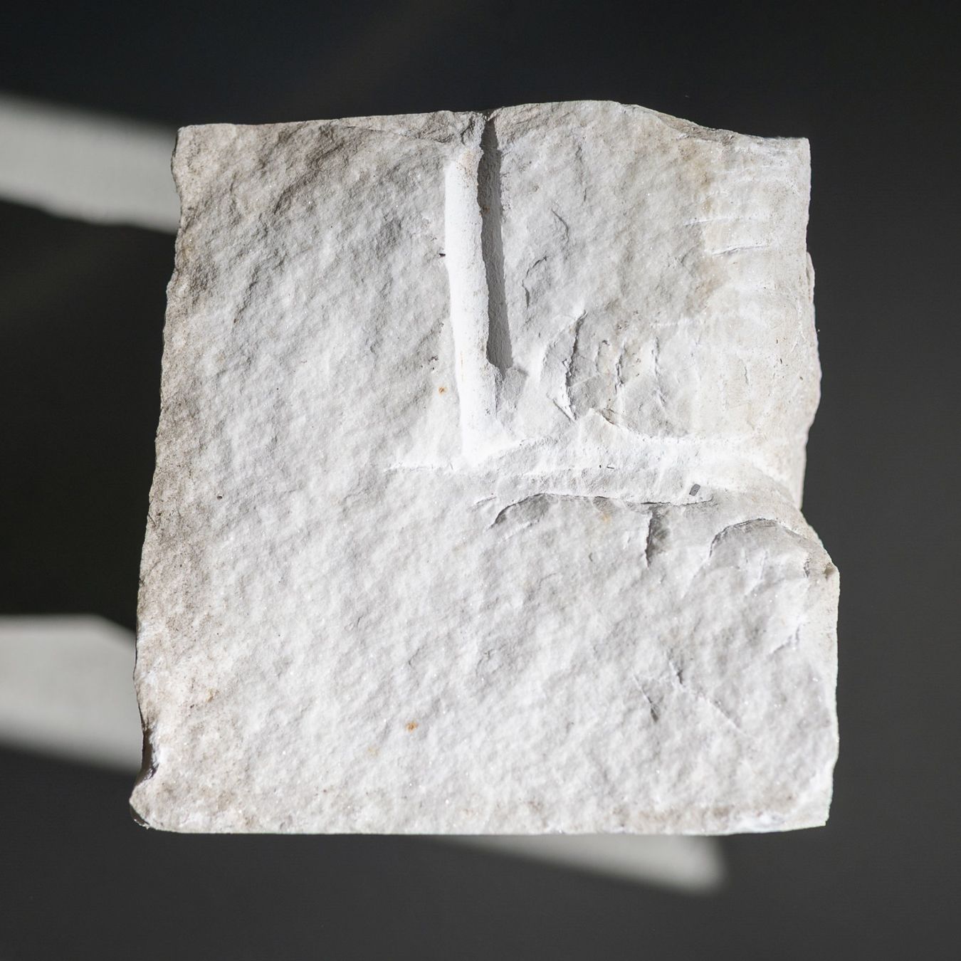 Smerigliatrici & Lucidatrici: Bildhauerstein (Marmorstein Statuario Venato) – Nuovo (secondo la descrizione) da Bern venduto da olfaktor 1