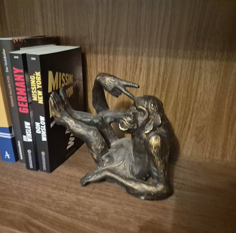 Sonstige Dekorationen & Accessoires: Buchstütze Affe – Gebraucht aus Zürich von pompiersmartin 2
