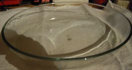 Gratin Form  Glas