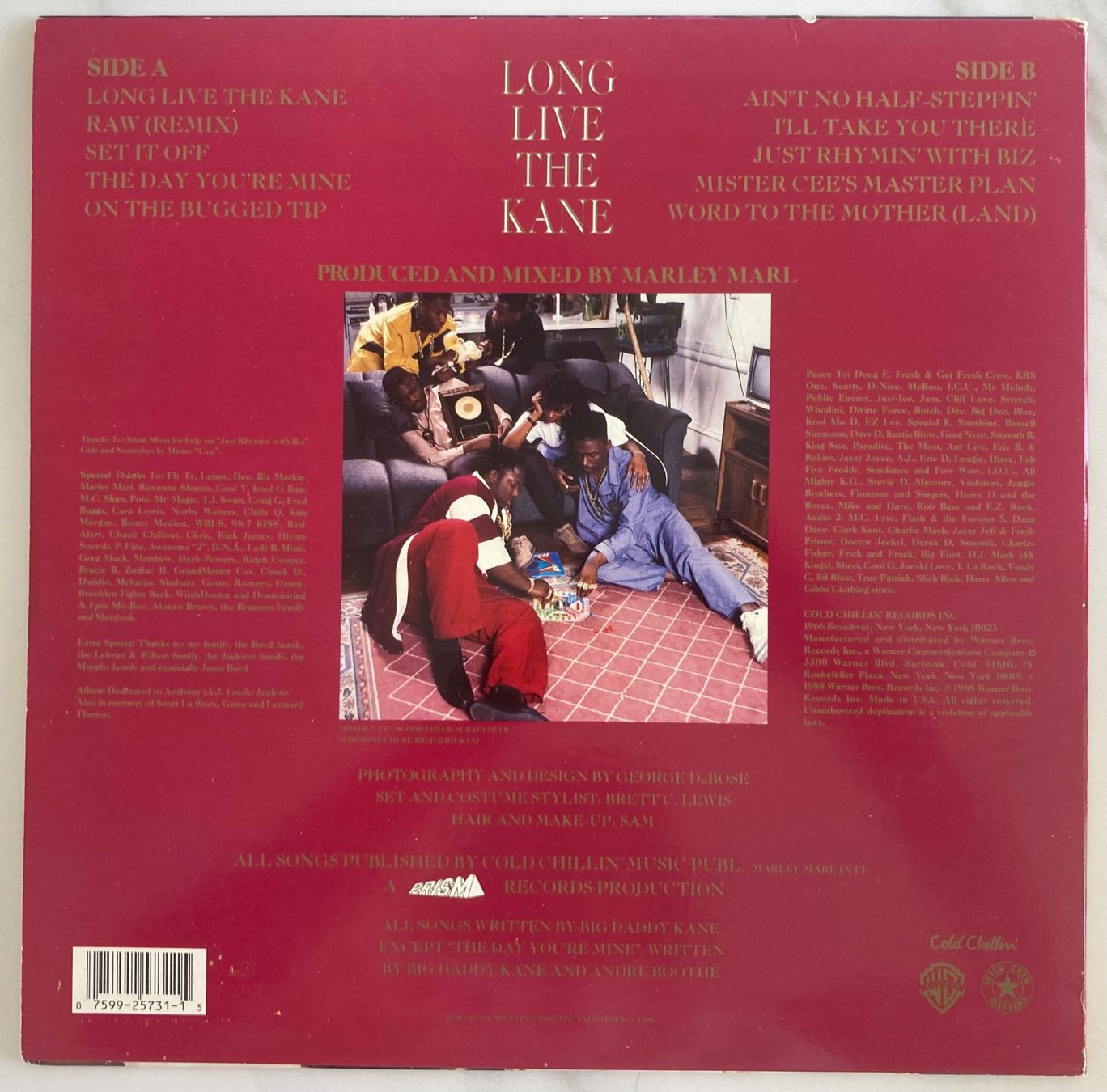 Dischi in vinile: BIG DADDY KANE - LONG LIVE THE KANE – Usato da Poliez-Pittet venduto da Newtown-Records 1