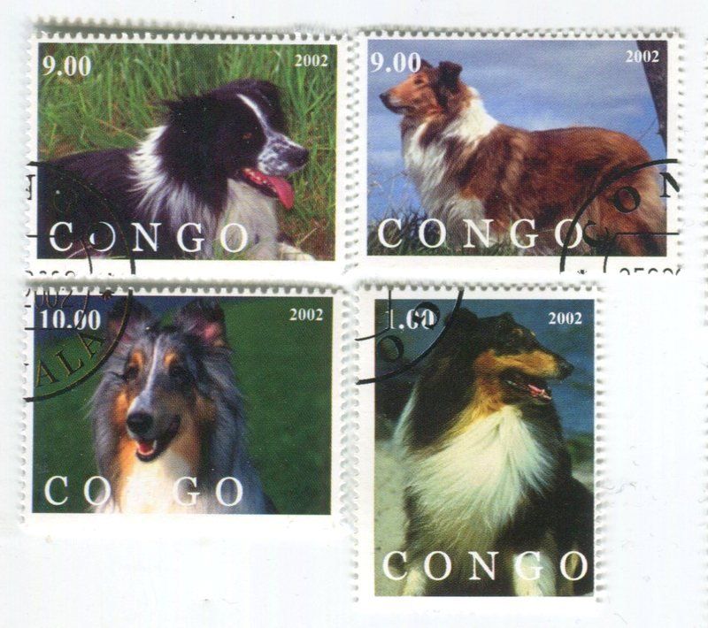 Tous les timbres: Briefmarken "Langhaarcollie, Border Collie". Kongo – Neuf avec emballage d'origine à Basel par Butsch5