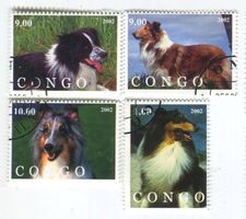 Briefmarken "Langhaarcollie, Border Collie". Kongo