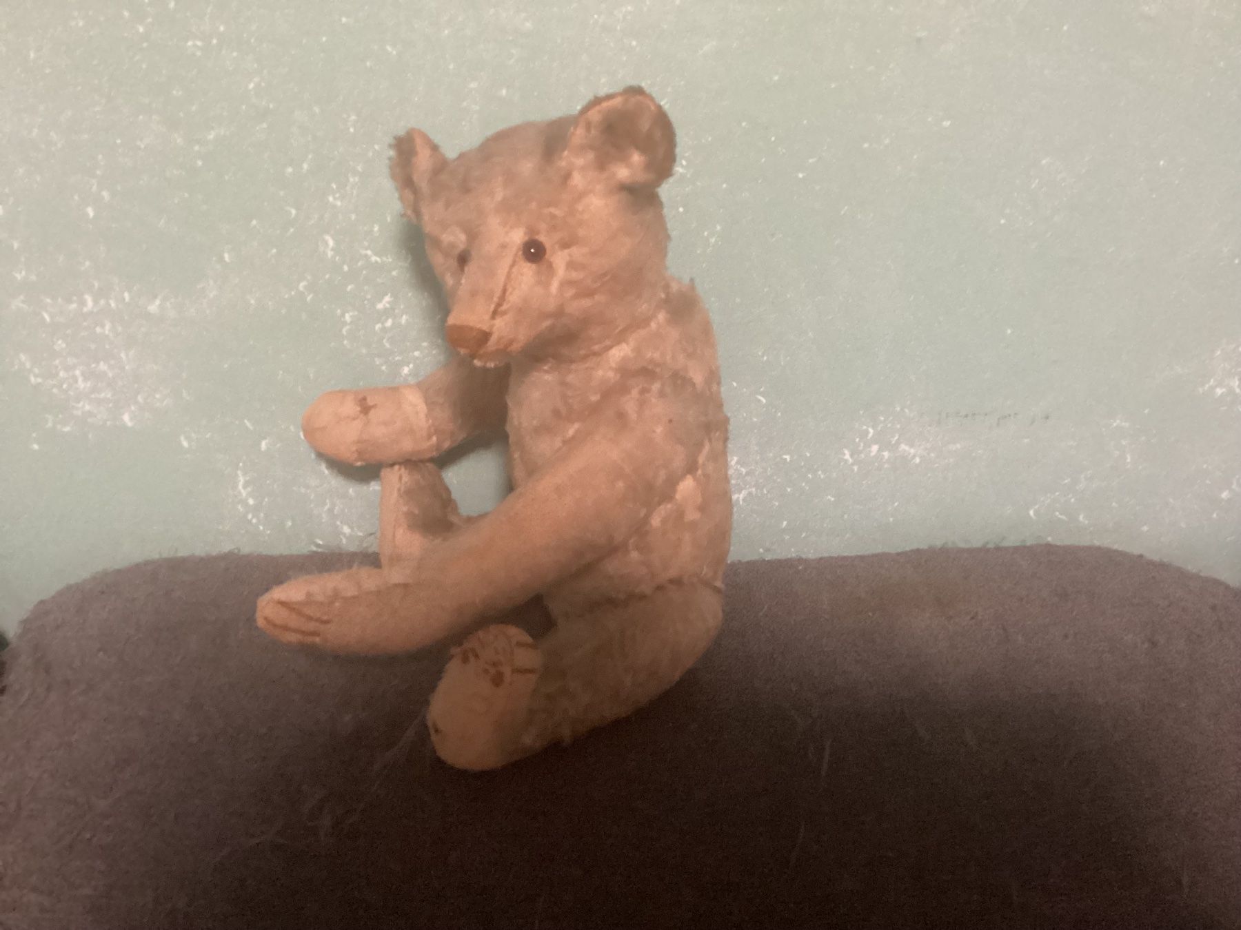 Steiff Giocattoli: ANTIKER STEIFF TEDDY 1910/1920 – Usato da Münchenstein venduto da NoSu98 6