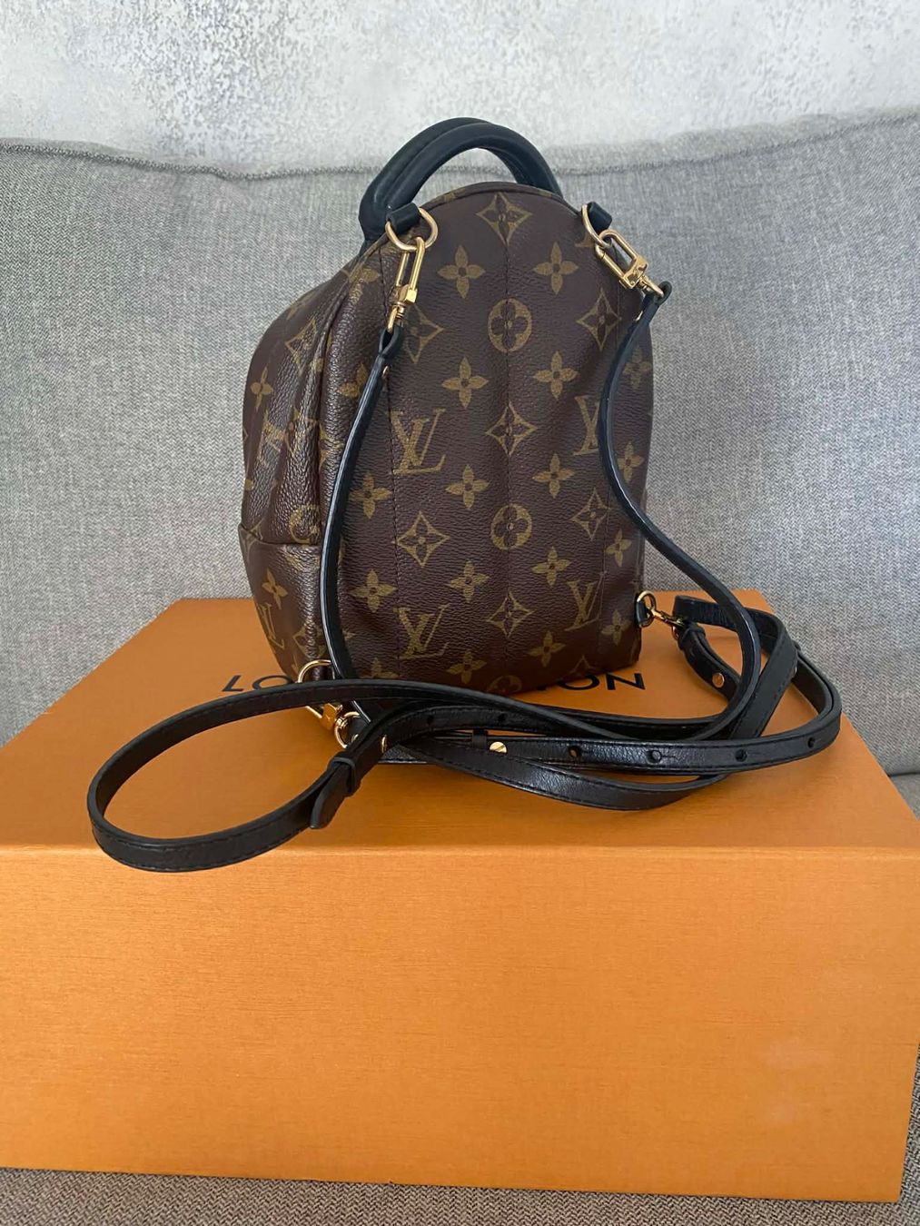 Louis Vuitton Sacs à dos: Louis Vuitton Palm Springs Mini Backpack – D'occasion à Frauenfeld par pau_77qk 4