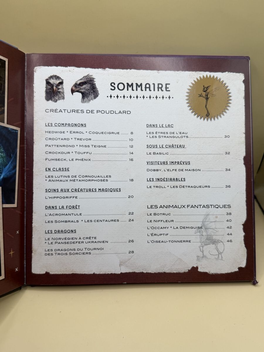 Libri: Harry Potter: Créatures - Le Carnet Magique – Usato da Genève venduto da sho_67qj 4