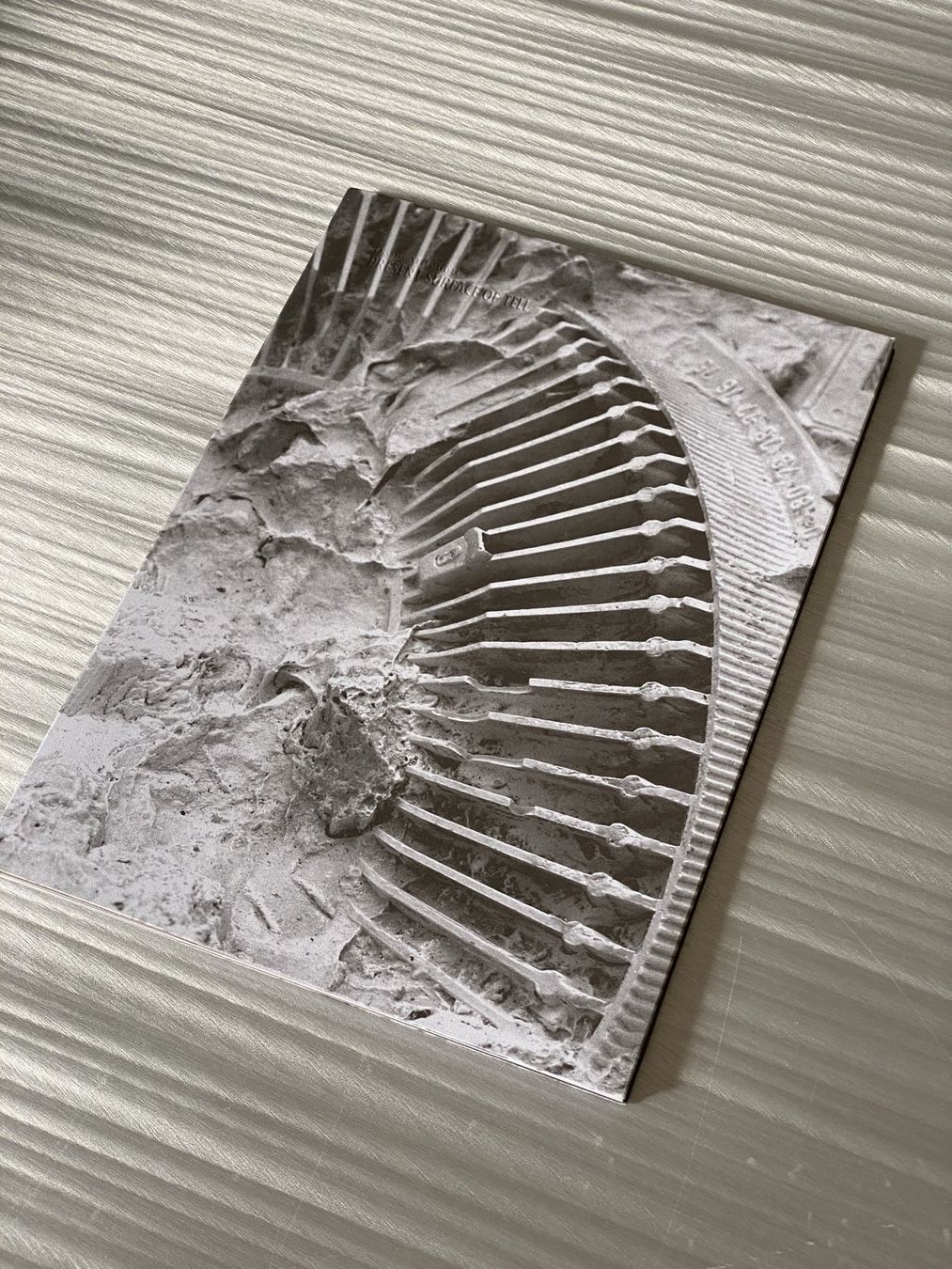 Libri: present surface of tell - Dane Mitchell – Usato da Zürich venduto da Abost
