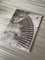 present surface of tell - Dane Mitchell
