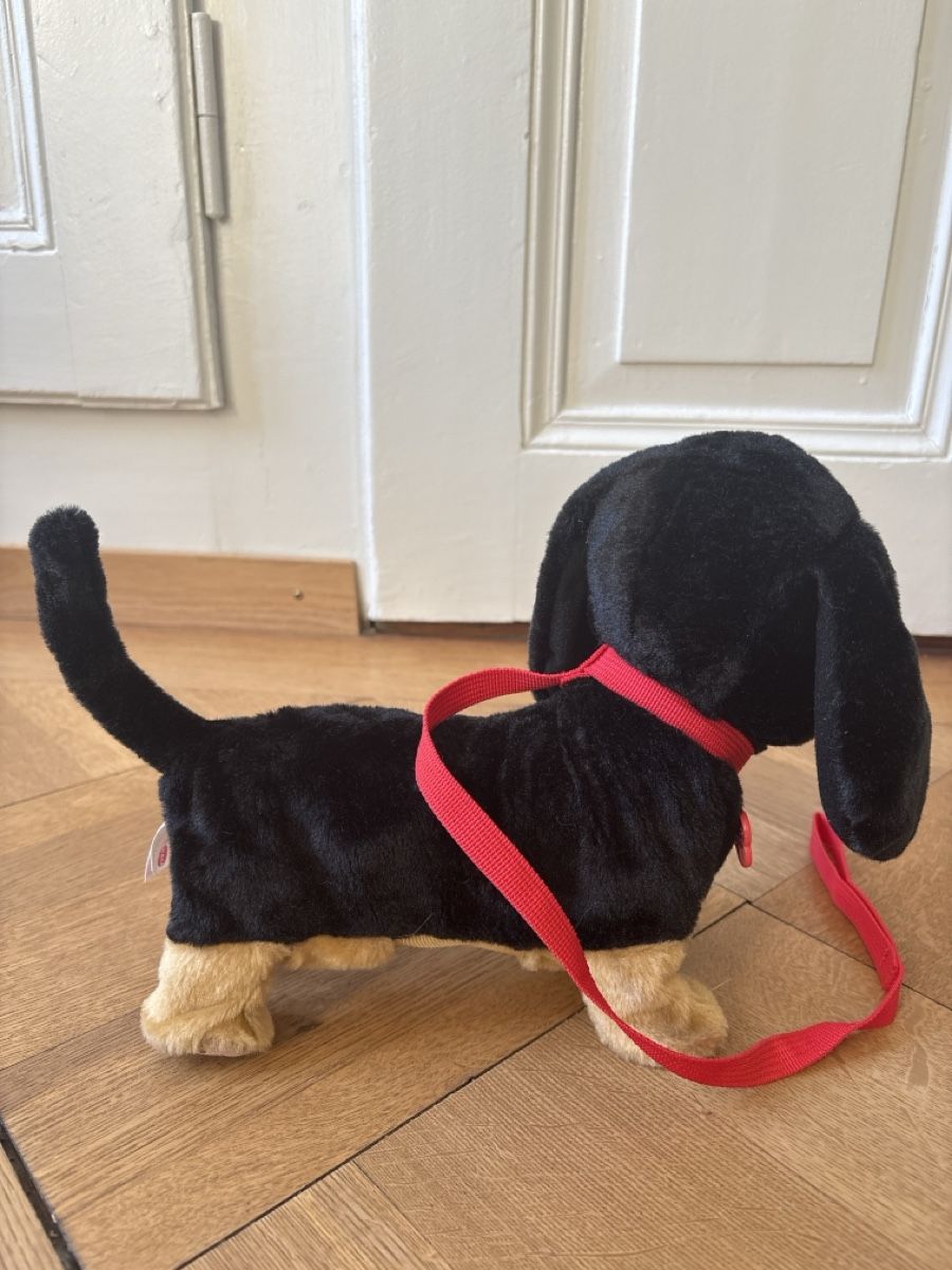 Giocattoli: AniMagic Hund – Usato da Bern venduto da 24Sonne24 2