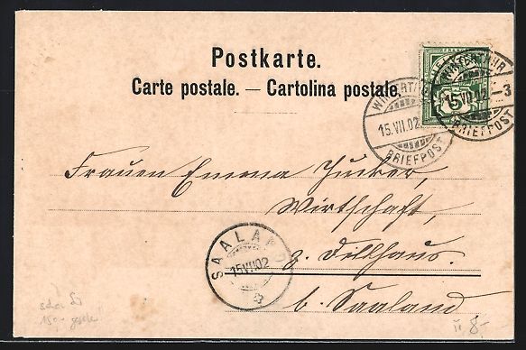 Cartoline postali: Litho Winterthur, Primarschulhaus, Wappe – Usato da Berlin venduto da bartko-reher 1