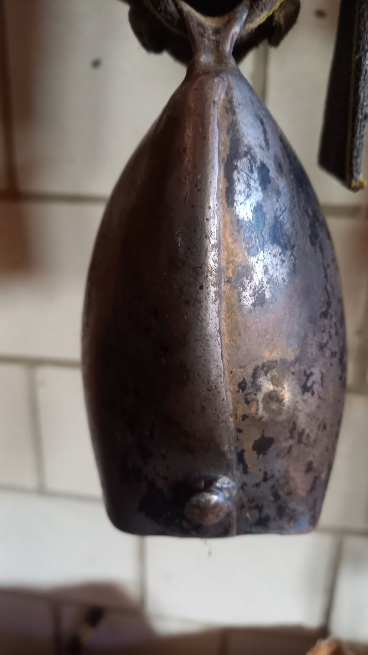Campanacci mucche: Weidetreichel – Usato da Achseten venduto da sma_659k 1