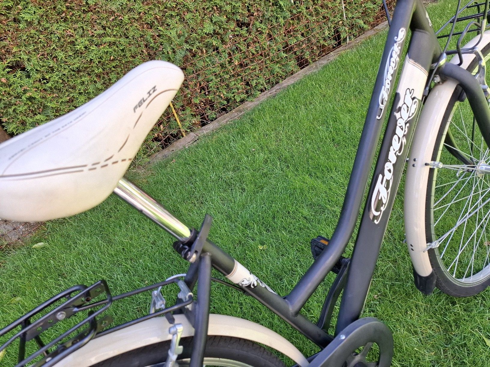 Biciclette: Damenvelo  – Usato da Balterswil venduto da schnecke89 2