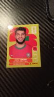panini fussball ismael saibari wm 2026