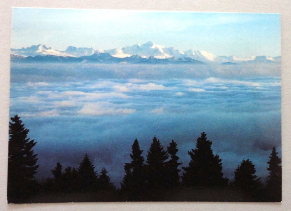 Mont Blanc et mer de brouillard vus du Jura Kaufen auf Ricardo