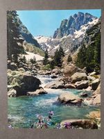 Original Vintage Poster - La Montagne Valle de Restonica