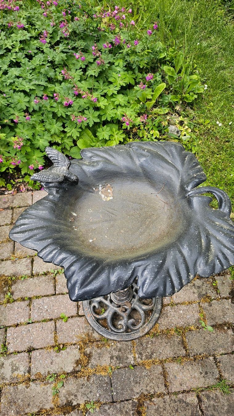 Stagni & Fontane ornamentali: Vogeltränke aus Stahl – Usato da Zürich venduto da cla_76ww 1