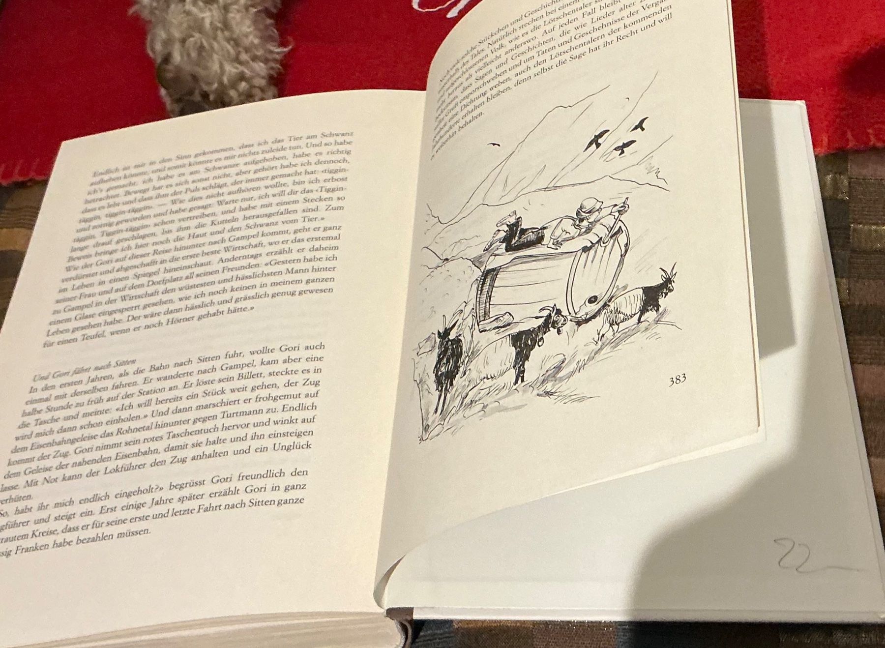 Libri: Lötschental "Der Kanton Lötschen" sig H. Blötzer – Usato da Naters venduto da seidengut 8