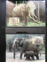 Sri Lanka 1986 Satz WWF Asiatischer Elefant Maximumkarten