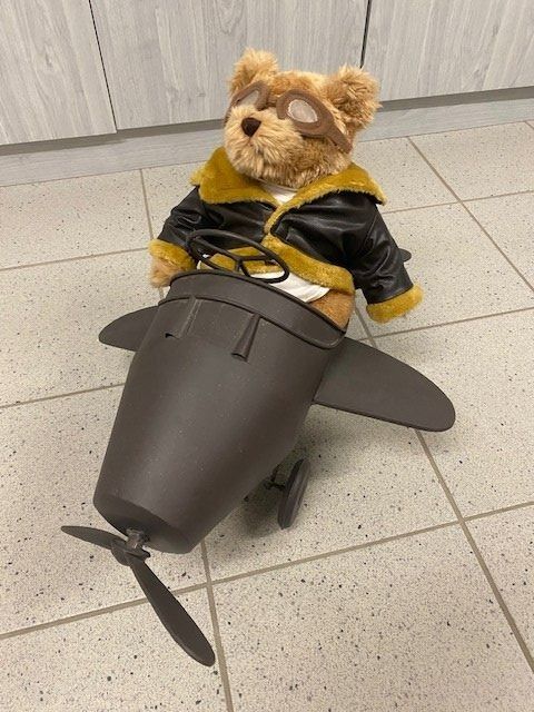 Statuette: TOM THE FLYING TEDDY IS READY FOR TAKE OFF!!! – Nuovo (secondo la descrizione) da Mumpf venduto da PEPsPARADISE