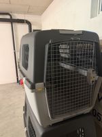 Praktische Hunde Transportbox, ideal für Reisezeit!