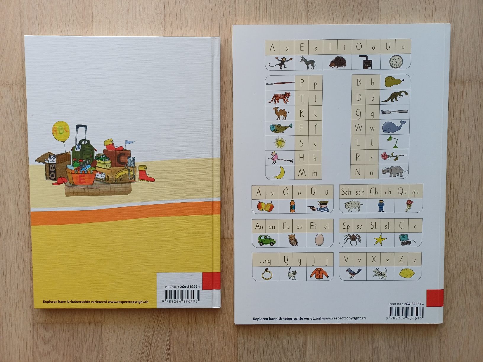 Libri: Die Buchstabenreise - Buch + Arbeitsheft – Nuovo (secondo la descrizione) da Riedern venduto da martigni_88 1