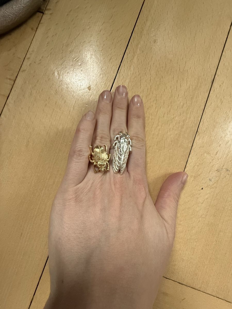 Anelli: 2pc finger ring set beatles/insekten – Nuovo (secondo la descrizione) da Baden venduto da agora_newgeneration 3