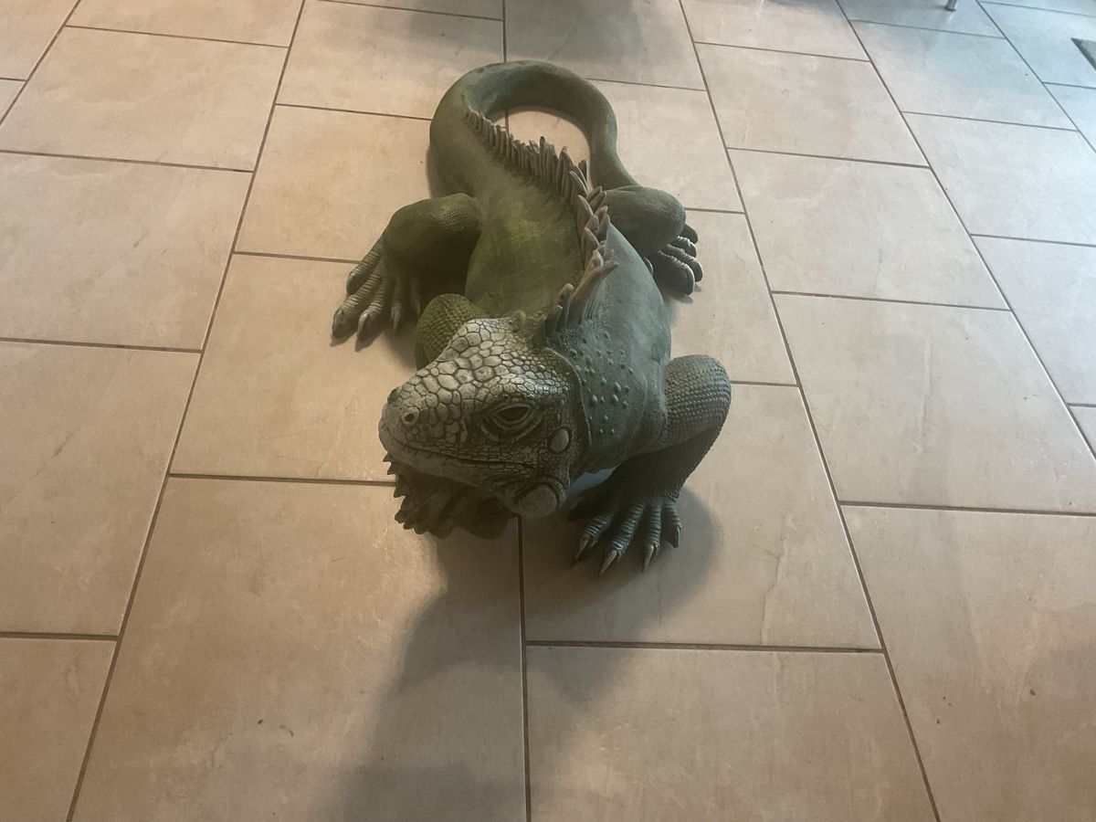 Statuette: Coole Deko-Echse für den Garten oder das Wohnzimmer! – Usato da Balterswil venduto da oal_r7cp 1