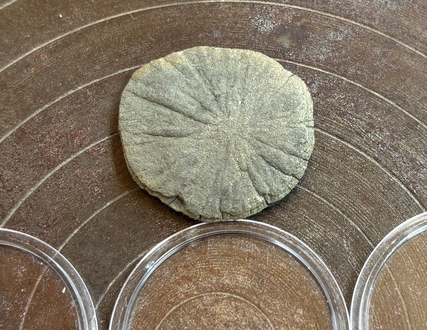 Fossilien: Fossilien Pyritsonnen 4 Stück – Gebraucht aus Lüchingen von Eeizo 4