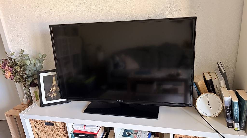 Televisori: Samsung Fernseher – Usato da Zürich venduto da ann_vg76