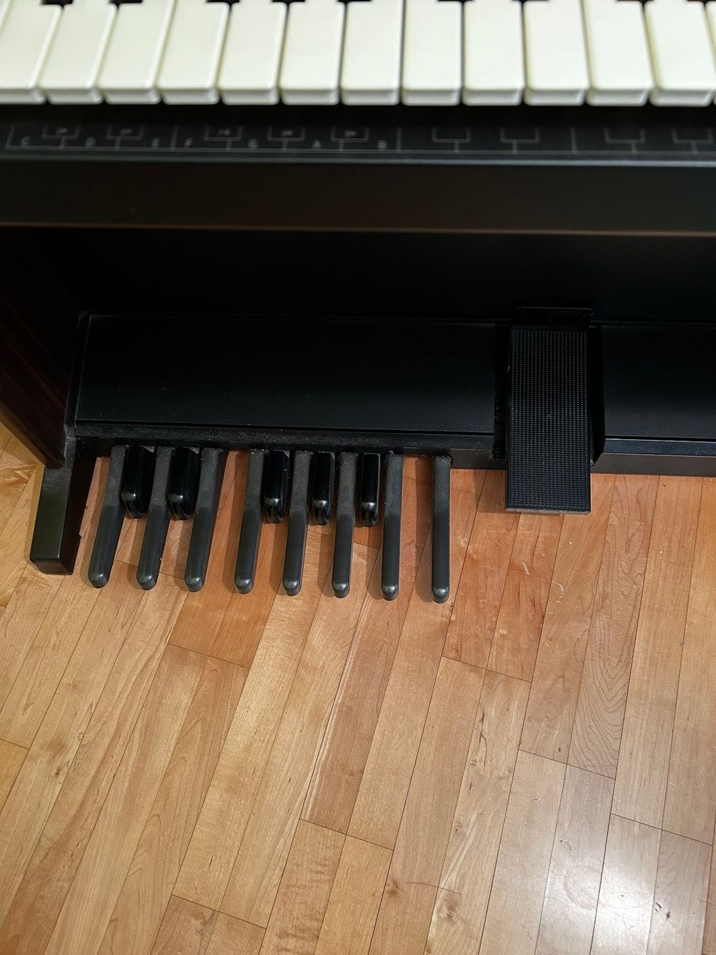 Technics Strumenti musicali: Technics Orgel SX-EN1 – Usato da Ruswil venduto da goldhansi 2