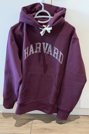 Vintage hoodie Champion Harvard College men’s L