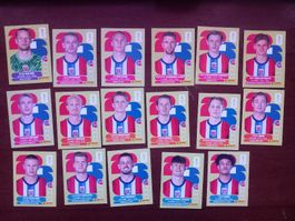 Stickers Panini World Cup 2026 Team NOR Norvege