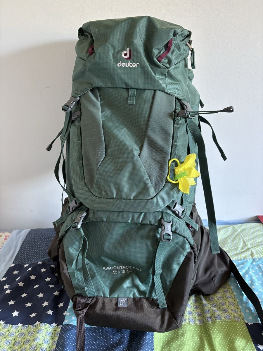 Deuter Sacs à dos: Rucksack – Neuf (Voir description) à Winterthur par Eisenbahn3