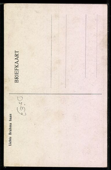 Cartes postales: Künstler sign. Kurt Zander: Lichte Brah – D'occasion à Berlin par bartko-reher 1