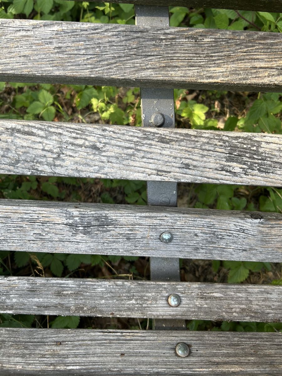 Panchine: Parkbank – Difettoso da Seengen venduto da Bibibalou 3