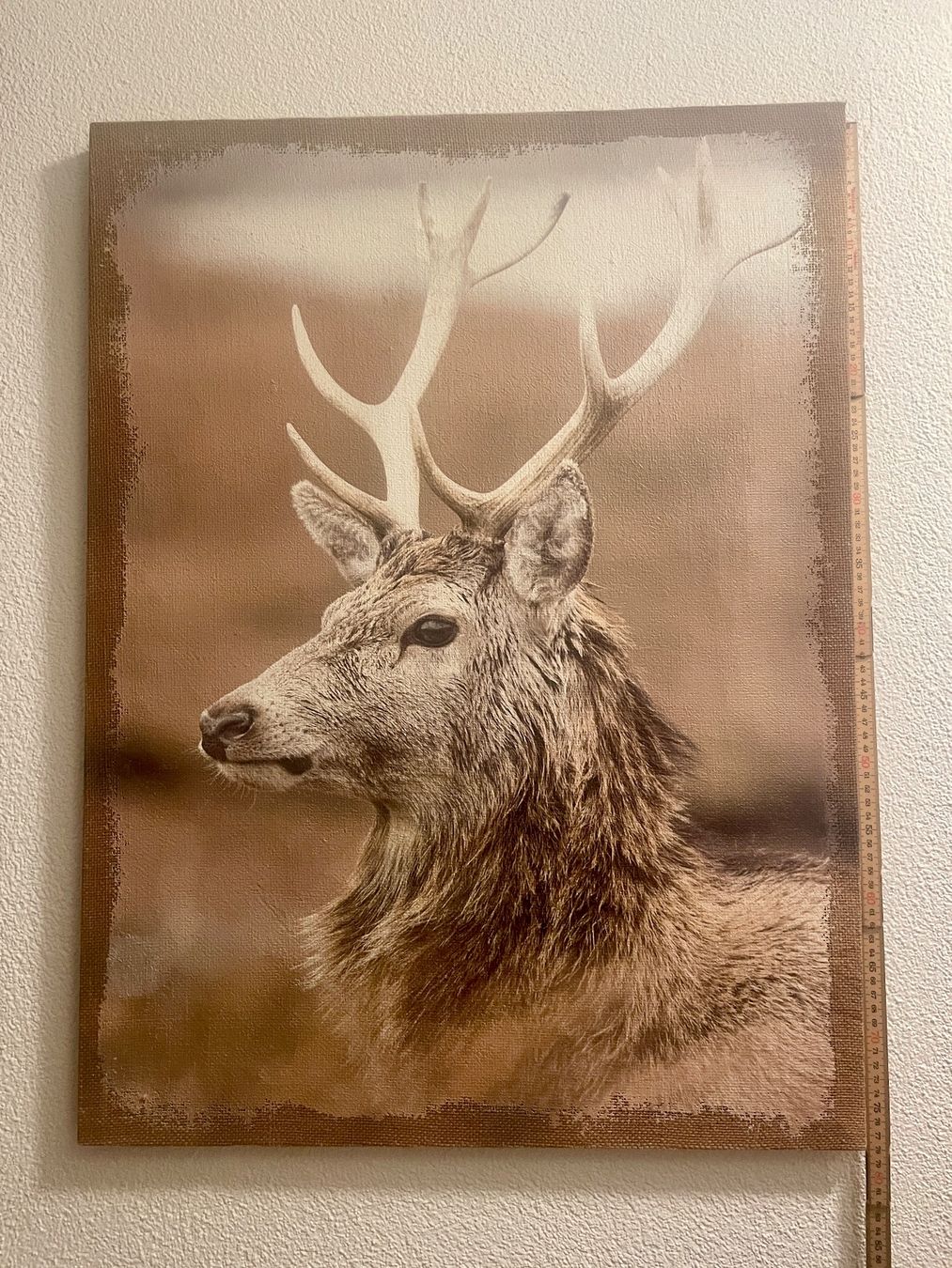 Poster & Bilder: Wandbild Hirsch - auf Leinwand gemalt - 58x77cm – Gebraucht aus Sursee von Steffi_2020 2