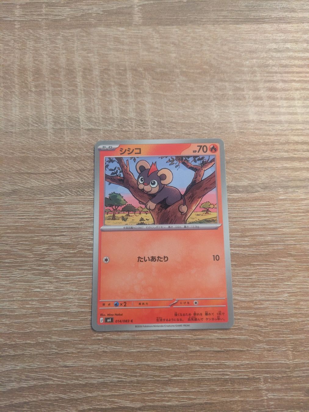 Pokémon Carte collezionabili: LITLEO, NINJA SPINNER, m4-14, COM, 2026, JAP, NM/MT – Usato da Losone venduto da AlpineLayer