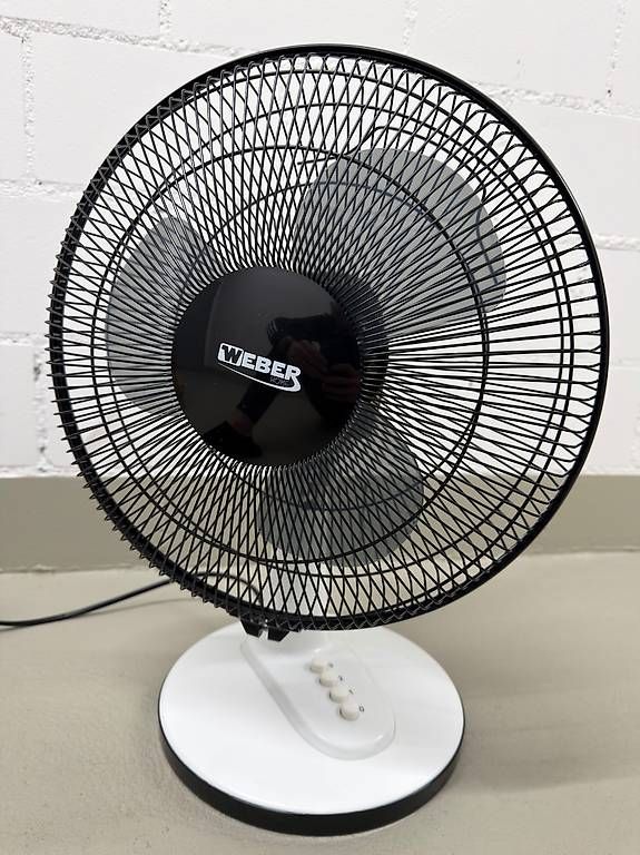 Ventilatori: Tisch Ventilator – Usato da Sursee venduto da Johnni.
