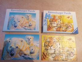 2x Ravensburger Puzzle 2x20 Teile Tiger & Eisbär